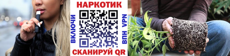 ГАШ Вязьма