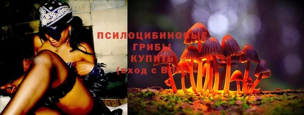 тгк Богданович