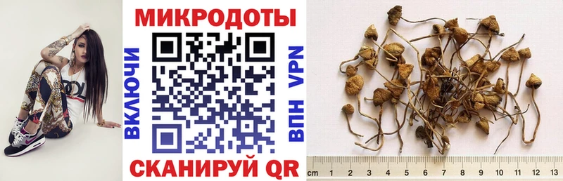 Псилоцибиновые грибы Psilocybine cubensis наркотики Вязьма