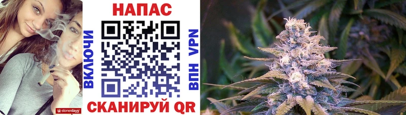 Шишки марихуана ГИДРОПОН  Вязьма 